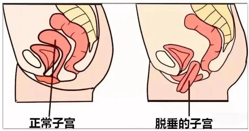 20260626妇科3.jpg