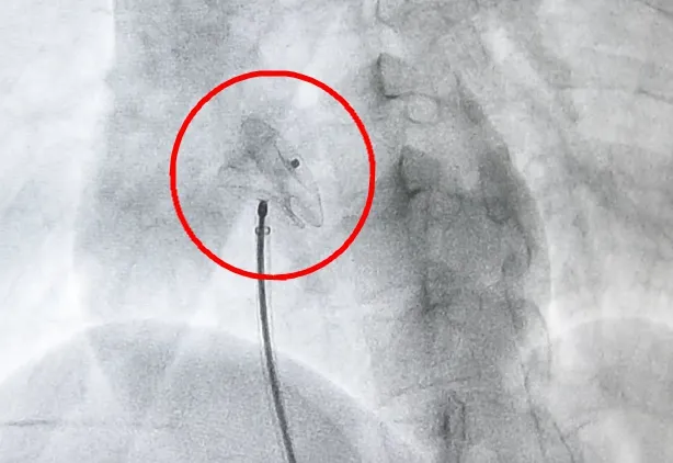 1635834293(1).jpg 1635834293(1).jpg