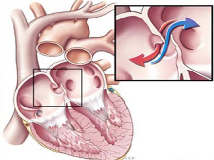 d0c8a786c9177f3e87f91ce777cf3bc79e3d560f.jpg d0c8a786c9177f3e87f91ce777cf3bc79e3d560f.jpg