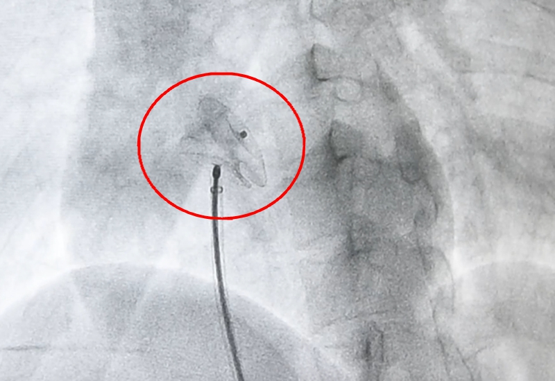 1617006150(1).jpg 1617006150(1).jpg