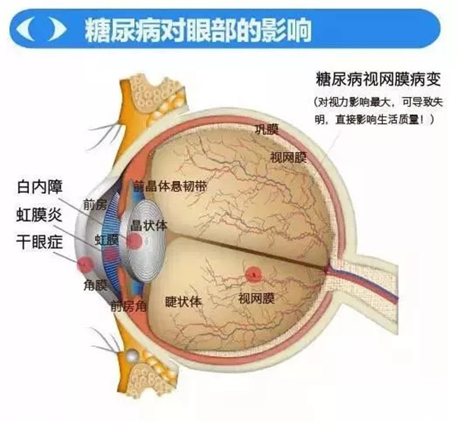 1_2efcfbcba89446c197a37c6994f3838e.jpg 1_2efcfbcba89446c197a37c6994f3838e.jpg