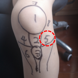 05.png
