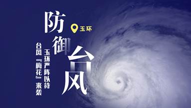 clip_image002.jpg 台风梅花