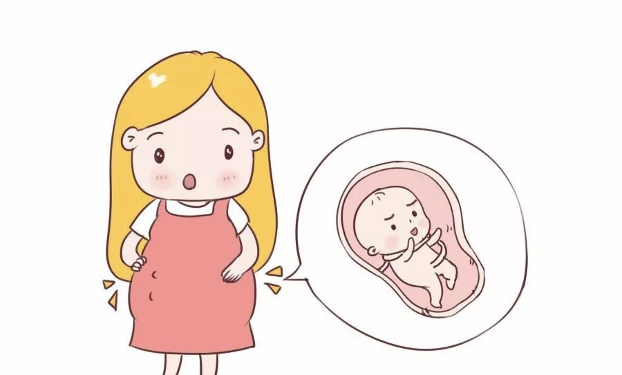 image023.jpg image023.jpg