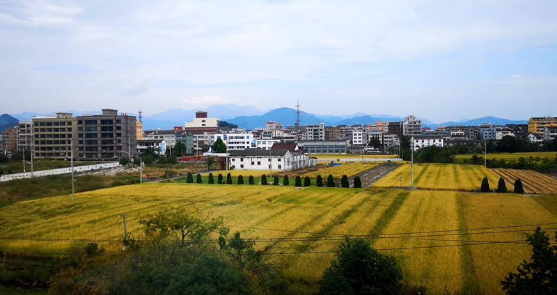 海山6.jpg