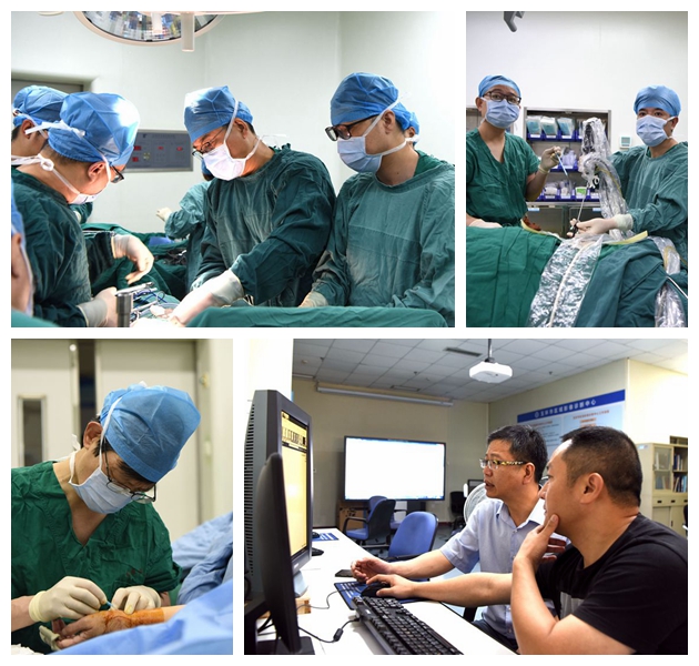 20190805084817048.jpg 光影魔术手拼图4.jpg