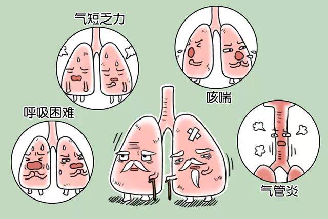 a8445b159a204c9faeb36d2ea2626779.jpeg a8445b159a204c9faeb36d2ea2626779.jpeg