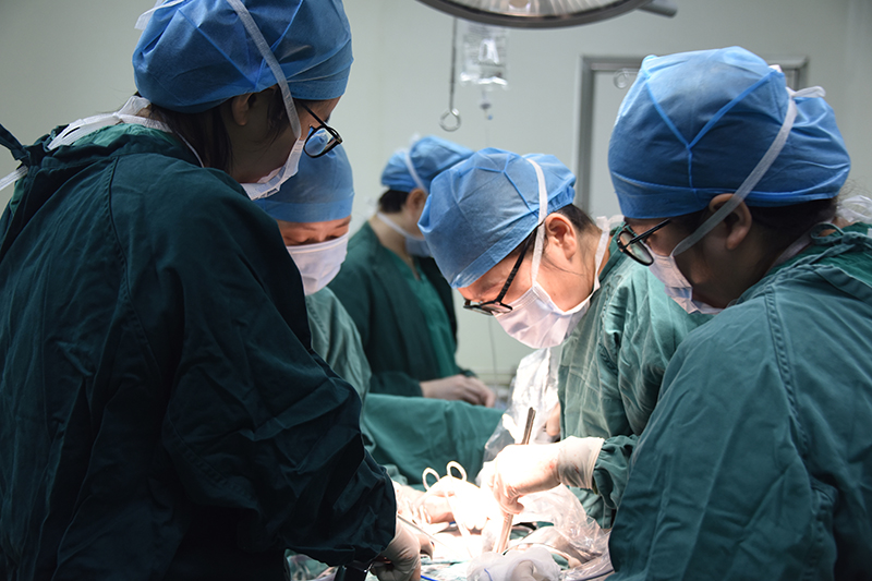 01 (2).jpg 01 (2).jpg